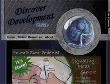 Tablet Screenshot of discoverdevelopment.com